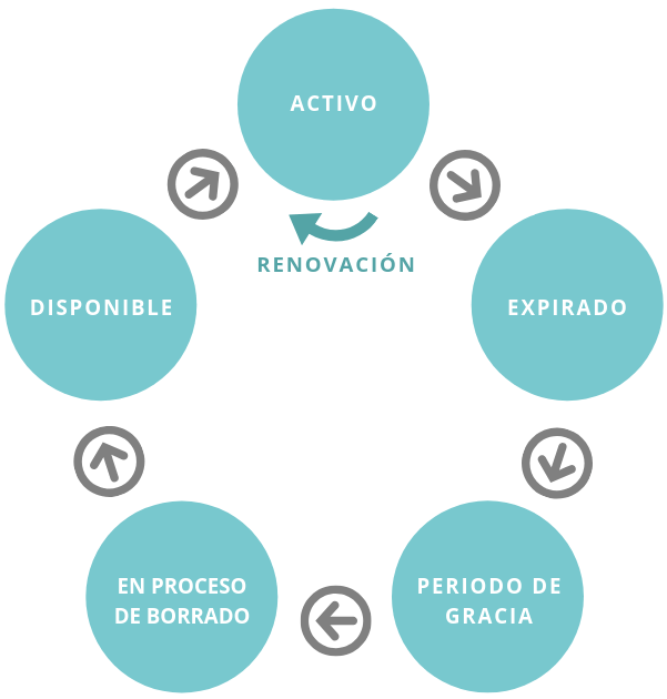 Entendiendo cómo es el ciclo de vida de un dominio web